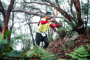 BIB: 
                            <button type="button" onclick="openModal(26295505)" class="btn btn-primary btn-sm float-right btn-popup" data-toggle="modal" data-target=".modal-high-quality">
                        <i class="fas fa-shopping-cart"></i> Add to Cart
                    </button>
                                            <button type="button" onclick="isThisMe(26295505, true)" class="btn btn-success btn-sm float-right btn-popup btn-isme hidden" data-toggle="tooltip" data-placement="bottom" title="นี่คือรูปของคุณใช่ไหม คลิกที่นี่เพื่อเอาเข้าอัลบั้ม">
                        <i class="fas fa-plus"></i> Add to album
                    </button>
                    <button type="button" onclick="isThisMe(26295505, false)" class="btn btn-warning btn-sm float-right btn-popup btn-isnotme hidden">
                        <i class="fas fa-ban"></i> Remove from album
                    </button>